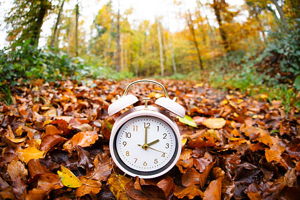 istock Winter time changeover, end of daylight saving time in autumn, alarm clock fall back switch, forest with colorful foliage 2240121814