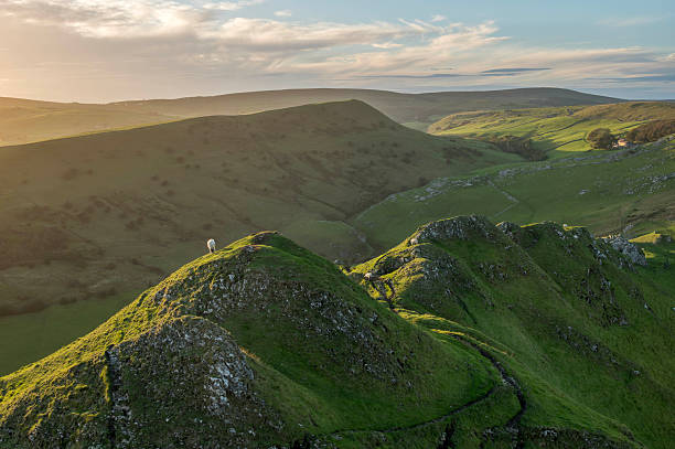 istock Sheep Grazing on Chrome Hill, Peak District National Park 2240127626