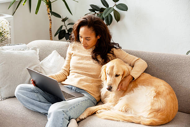 istock Woman working from home with golden retriever 2240129739