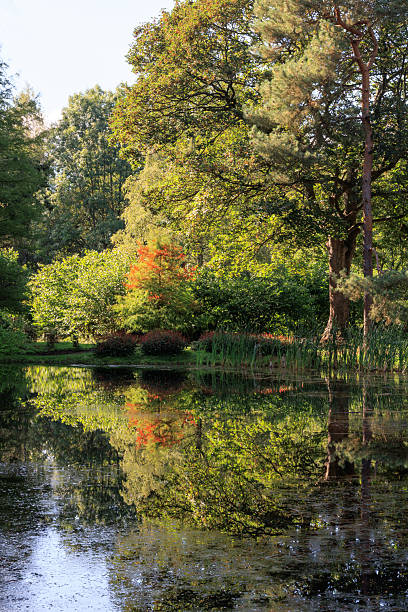 istock A lake in autumn in England 2240138424