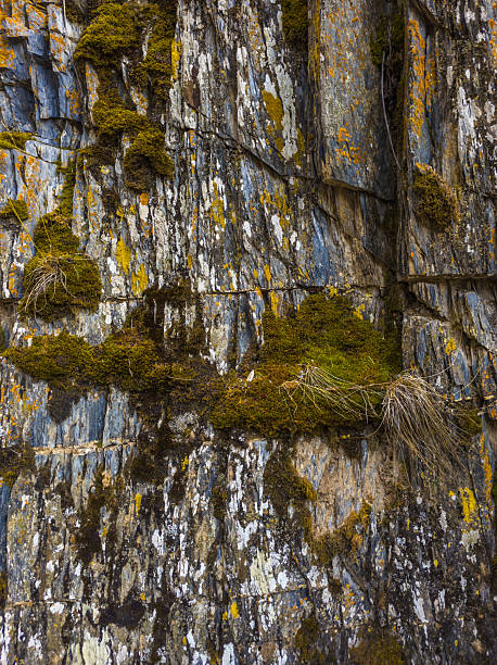 istock Rugged rock formation with moss on cliff face in nature 2240139931
