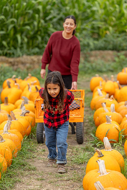istock Family Picking Pumpkins 2240142695