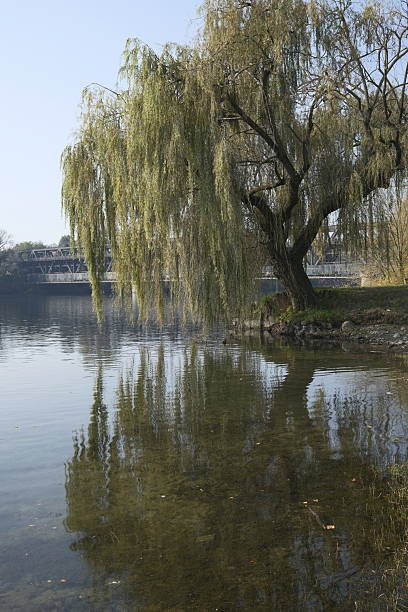 istock Sesto Calende - Maggiore Lake 2240143350