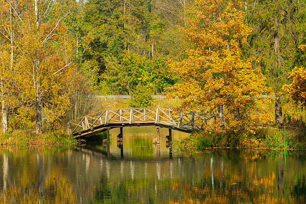 istock Autumn landscape with a wooden bridge 2240144971