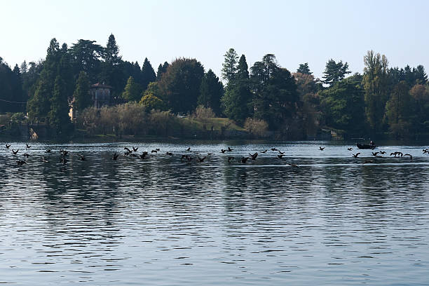 Sesto Calende - Maggiore Lake