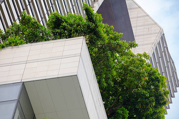 Tropical trees in facade sections of futuristic skyscraper in Bangkok downtown