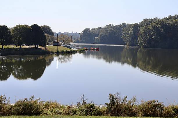 istock Morning at the Calm Lake 2240150033