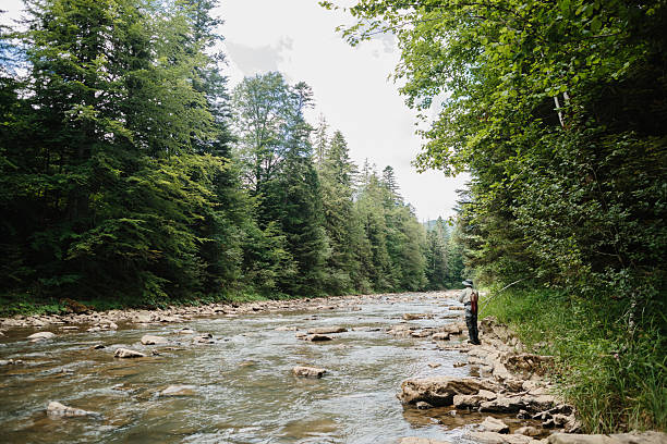 Fisherman casting line into river, surrounded by lush green forest, enjoying peaceful trout fishing