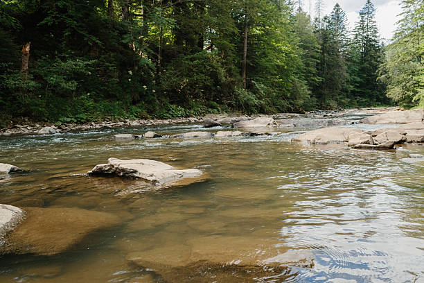 istock Clean mountain river flowing through forest in summer 2240150488