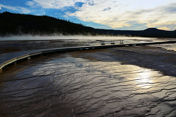 Yellowstone National Park, Wyoming, United States: the terraced formations surrounding Grand Prismatic Spring in Yellowstone National Park's Midway Geyser Basin form through the precipitation of silica minerals, known as sinter, from the spring's hot alkaline runoff water as it cools while flowing outward in channels toward the Firehole River. This process creates layered, stepped deposits that build up over time, preserving the shapes and structures of underlying microbial mats. These terraces, often described as gracefully contoured shoulders along the runoff streams, host vibrant communities of thermophilic bacteria and archaea that produce the spring's iconic rainbow colors—ranging from orange and red carotenoids in warmer zones to green chlorophyll in cooler areas—through temperature-dependent pigmentation. The sinter encases successive generations of these heat-loving microorganisms, forming a geological record of ancient microbial life in this extreme hydrothermal environment, which has evolved over thousands of years.