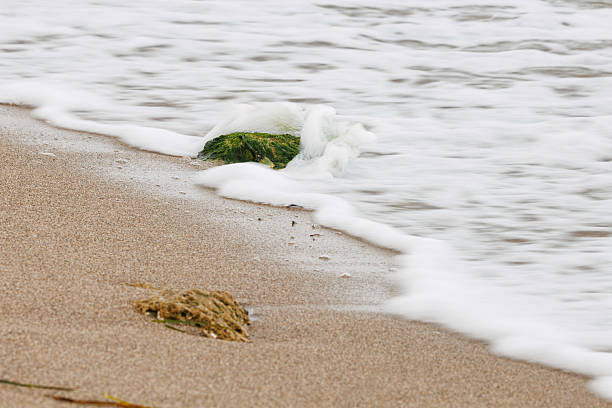 istock Beach with seaweed-covered rocks and motion blur in the water conveying dynamism 2240154785