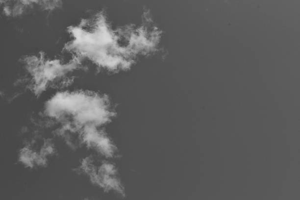 Black and white photograph of the sky taken from below