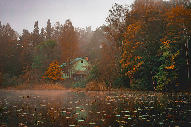 Misty Autumn Morning by the Lake
