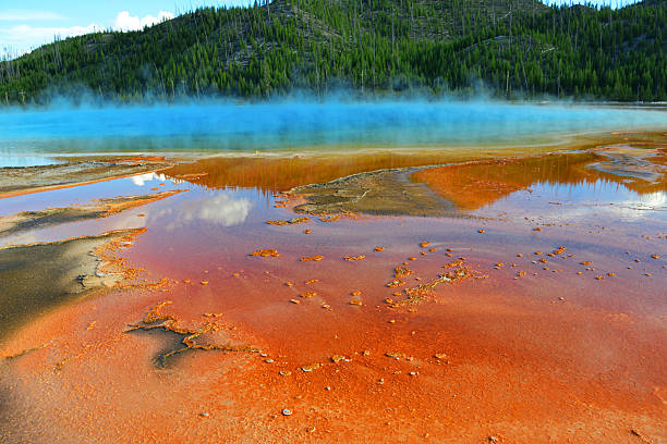 Yellowstone National Park, Wyoming, United States: the Grand Prismatic Spring, situated in Yellowstone National Park's Midway Geyser Basin, is the largest hot spring in the United States and the third largest globally, spanning approximately 370 feet in diameter and 160 feet in depth while discharging about 560 gallons of 160°F water per minute into the Firehole River via runoff channels. These channels, formed by the spring's outflow, deposit silica minerals as sinter, gradually building terraced formations that preserve ancient microbial mats beneath newer layers. The vibrant rainbow hues—ranging from blue in the sterile central pool to orange, red, yellow, and green in the margins—arise from thermophilic bacteria and algae in the runoff, where temperature gradients influence pigment production: warmer areas favor orange and red carotenoids, while cooler zones promote green chlorophyll. This microbial ecosystem, thriving in extreme heat, offers insights into early Earth life forms.