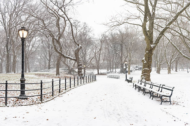 This is a photograph of an idyllic snow covered path winding through a landscape with bare trees on a cold winter day in Central Park in New York City.