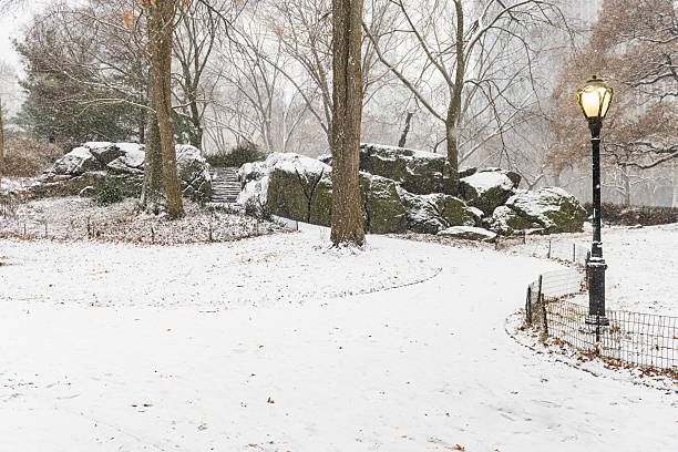 This is a photograph of an idyllic snow covered path winding through a landscape with bare trees on a cold winter day in Central Park in New York City.