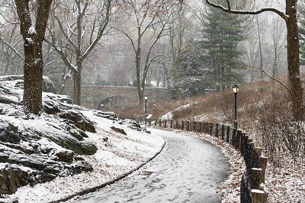 This is a photograph of a curving path on a cold winter day in Central Park, New York City.