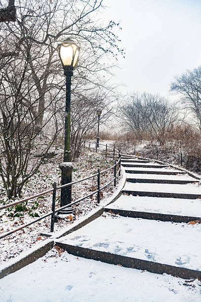 istock Snow Covered Steps in Central Park Landscape on Winter Day in NYC 2240168271