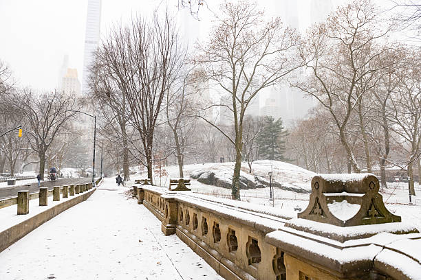 This is a photograph of a snow covered bridge on a cold winter day in Central Park with bare trees and faintly visible skyscrappers in the background in New York City, USA.