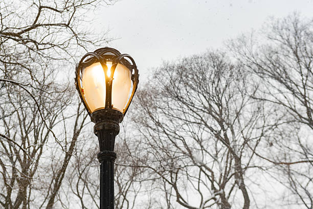 This is a photograph of an illuminated street light a cold winter day in Central Park during a snow storm in New York City.