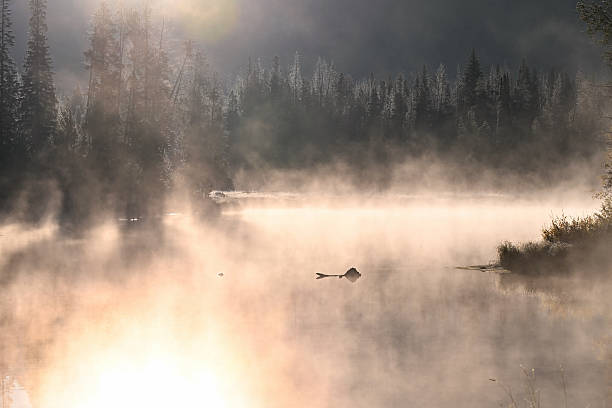 istock Steam on the Lake 2240174716