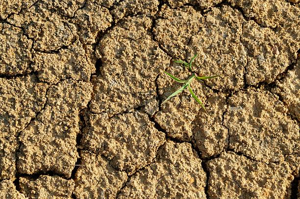 Lake shrinks due to extreme heat and long time drought and leave barren cracked land. Cracks on land surface.