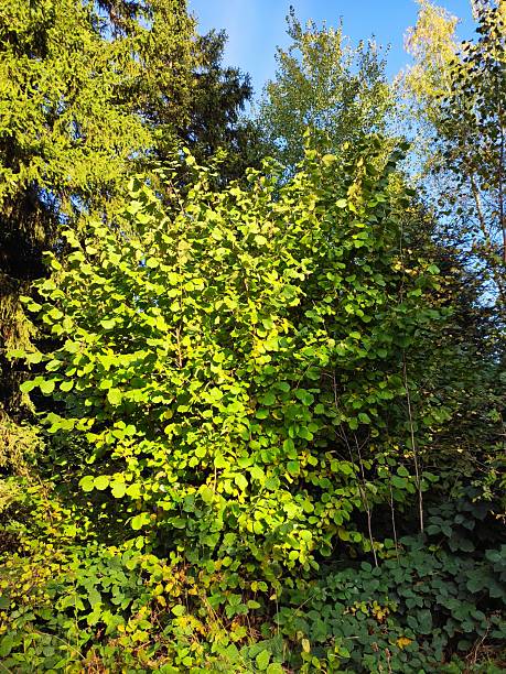 istock Stunning nature pictures 2240176406