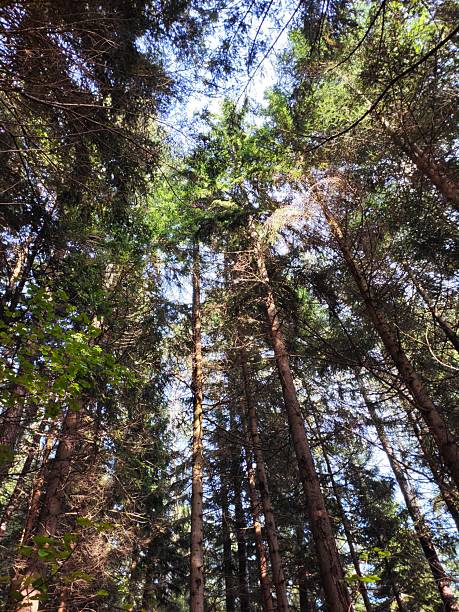istock Stunning nature pictures 2240177345