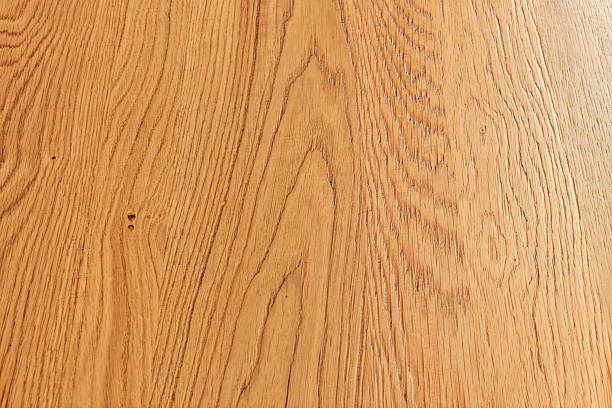 istock Baltic birch back with its characteristic dark markings in the form of small horizontal stripes 2240177600