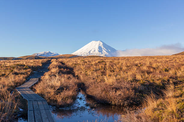 istock Walkway in Tongariro National Park wilderness 2240180846