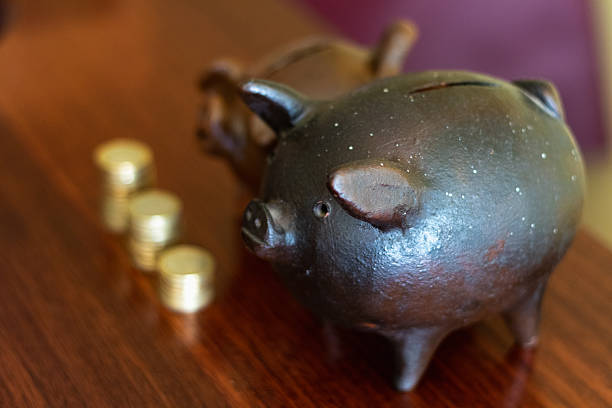 collection of yellow piggy bank isolated on white backgroud