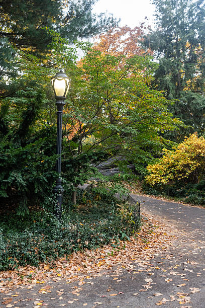istock Street Light Illuminated in Autumn in Central Park NYC 2240190098