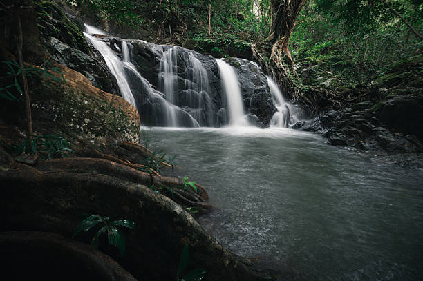 istock Serene Waterfall Amidst Lush Green Jungle Landscape in Nature 2240191623