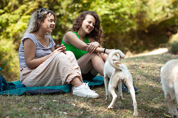 istock Two women sit on a blanket in a lush forest, smiling and chatting while spending quality time with their dog. The bright atmosphere and greenery create a joyful camping experience 2240196516
