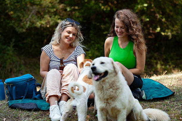 istock Two women relax on a blanket beneath trees during their camping trip. They share laughs while their dogs play, enjoying the warm weather and companionship in nature 2240196523