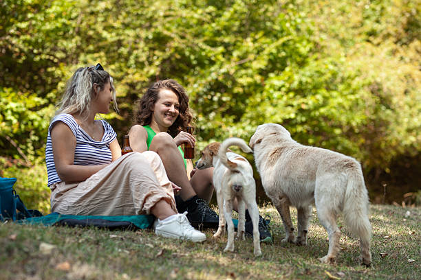 istock Two women sit on the grass in a vibrant forest, laughing and sharing drinks while their two dogs play nearby, creating a cheerful atmosphere of friendship and nature 2240196535