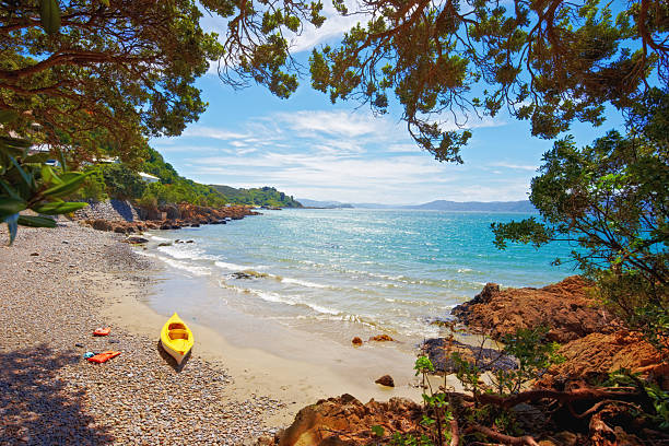 istock Beach - Karaka Bay, New Zealand 2240196831