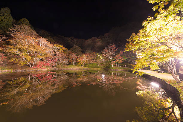 istock Autumn foliage illumination at Yujaku Park (Bungo-Ono City, Oita Prefecture) 2240201130