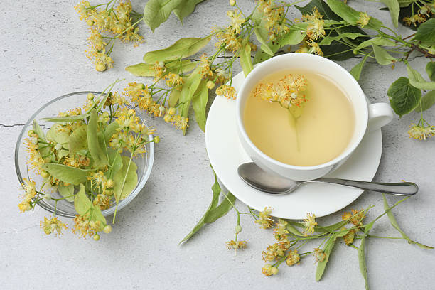 istock linden tea linden flowers, a cup with space for text 2240203498