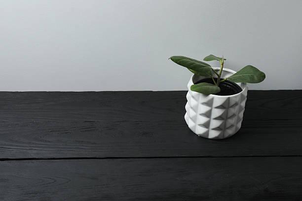 istock Beautiful flower in a pot, on a wooden table 2240203634