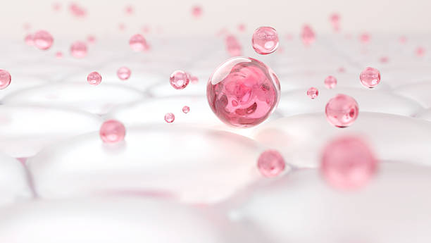 istock PDRN or Collagen Peptide Molecule Absorption Through Skin Cells, 3D Render 2240205196