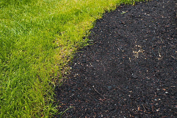 istock green grass and bare soil patch with grass seeds close up landscape concept 2240205207