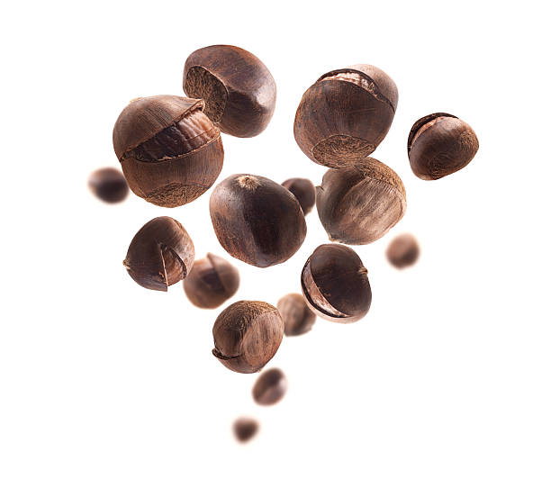 istock Ripe chestnuts levitate on a white background 2240206861