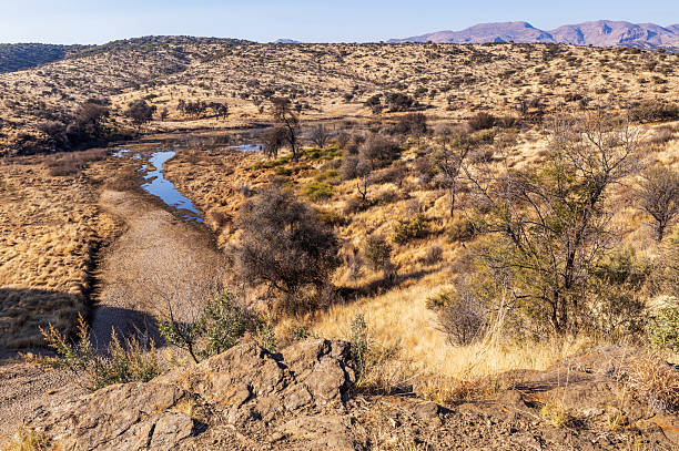 istock Arid and mountainous landscape in Namibia 2240208163