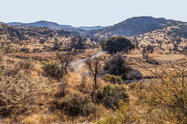 istock Arid and mountainous landscape in Namibia 2240208229