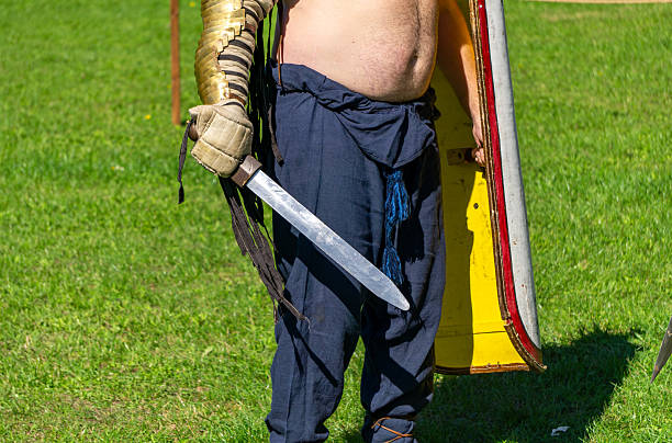 Historical reenactor in armor holding sword and shield, medieval warrior during outdoor reenactment event on grass under bright sunlight.