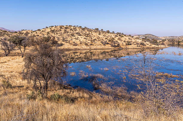 istock Arid and mountainous landscape in Namibia 2240208312