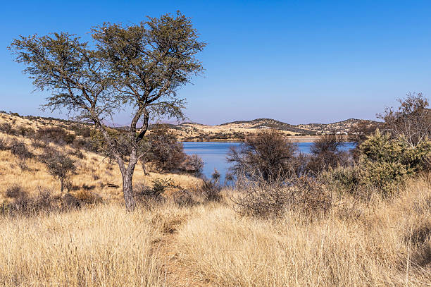 istock Arid and mountainous landscape in Namibia 2240208372