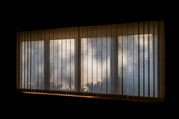 istock Nature shadows cast onto vertical window blinds 2240208479