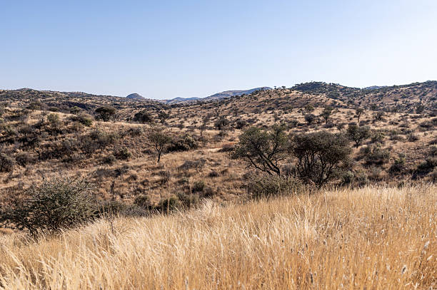 istock Arid and mountainous landscape in Namibia 2240208549